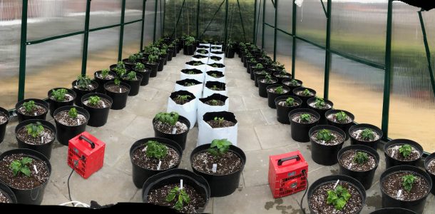 Retraining part 3 - All Vegetables