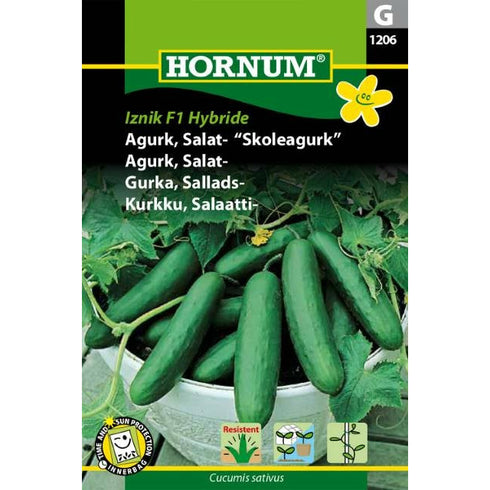 CUCUMBER SALAD IZNIK