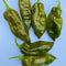 Fatalii Evergreen