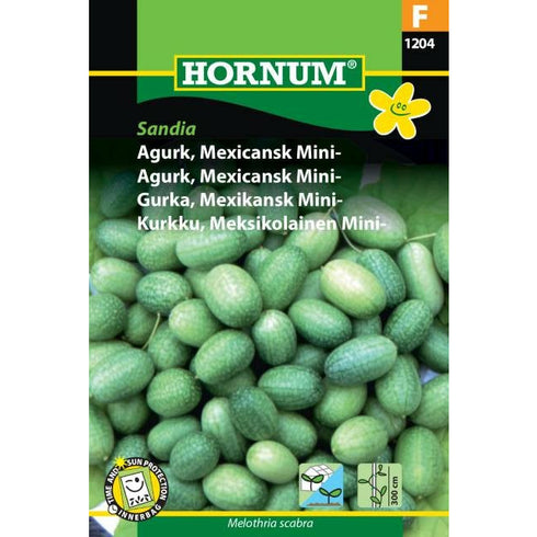 AGURK MEX MINI SANDI