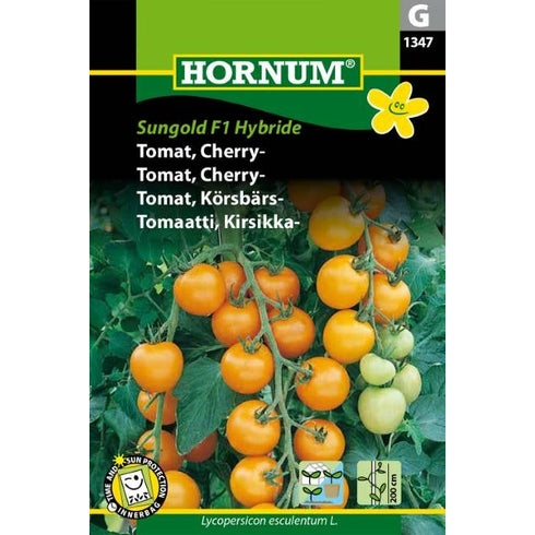 TOMATO CHERRY SUNGOLD