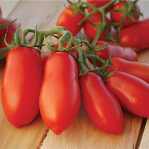 Dixie Doigt's De Naples