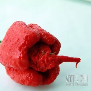 Ferske Carolina Reaper
