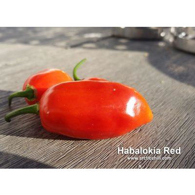 Habalokia Red