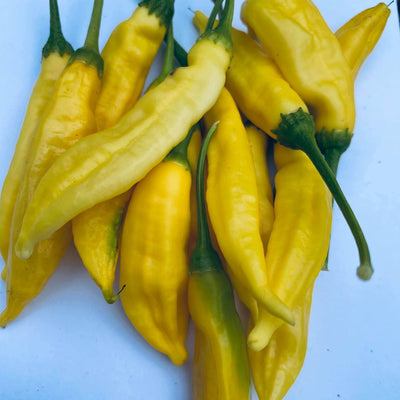 Aji Pineapple